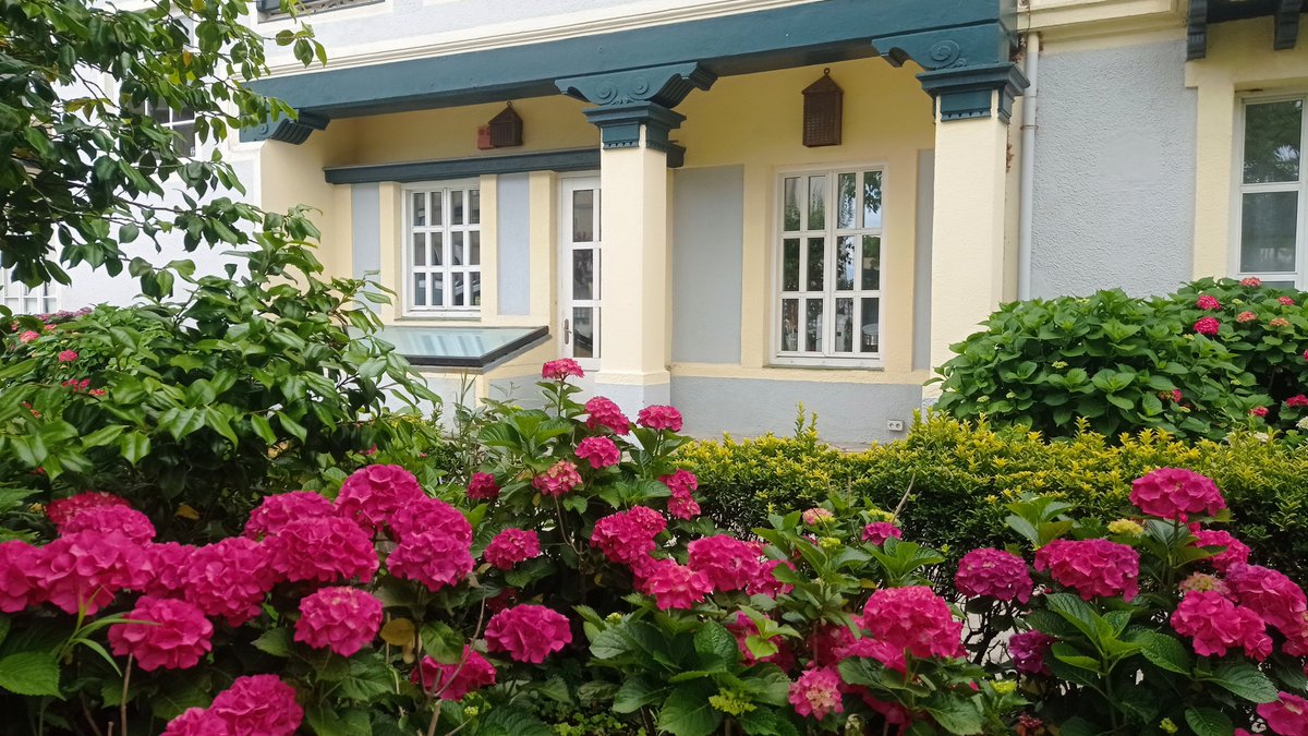 Desde 1864, donde cada estancia cuenta una historia 🏠🌿💛 🎁
 ¡Descubre nuestra nueva promoción!, llama al 942 03 34 02 o lascarolinasgarden.com
 #AlojamientoConHistoria #CantabriaInfinita #LasCarolinasGarden