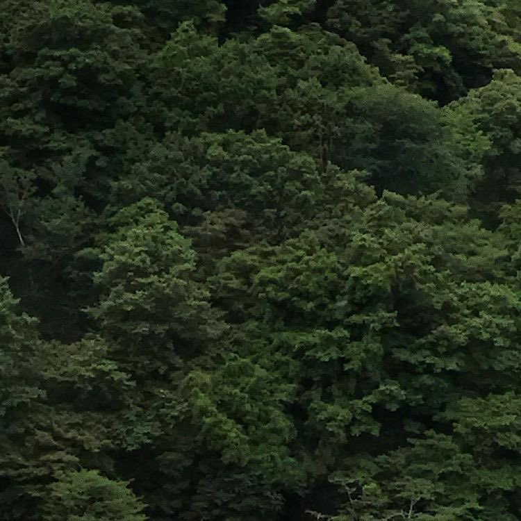 Вселенная дает нам то, что мы в силах вынести 🍃🧿