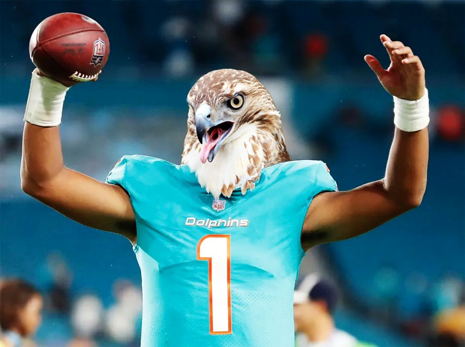 Dear internet, THE SEARCH IS OVER! 
We found Hawk Tuah
Happy Friday