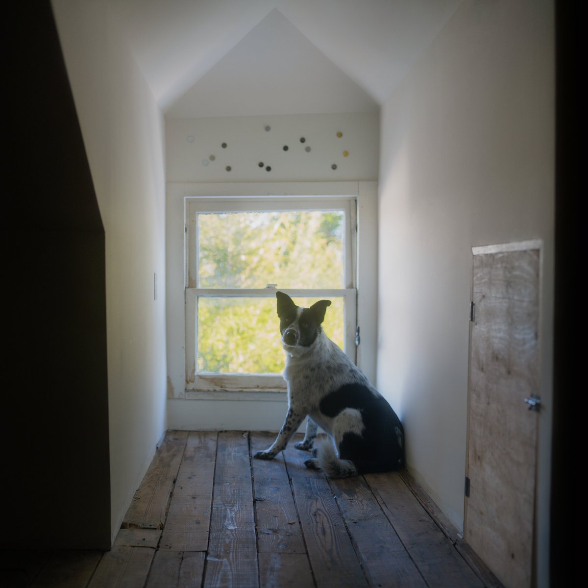 "Reality TV (Acoustic) out today 💙
distrokid.com/hyperfollow/st…