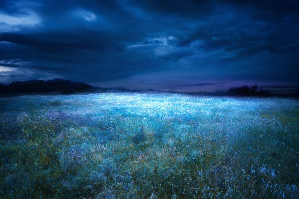 samanthacavet's tweet photo. Inside my sapphire dreams https://t.co/7SoVOpADnd