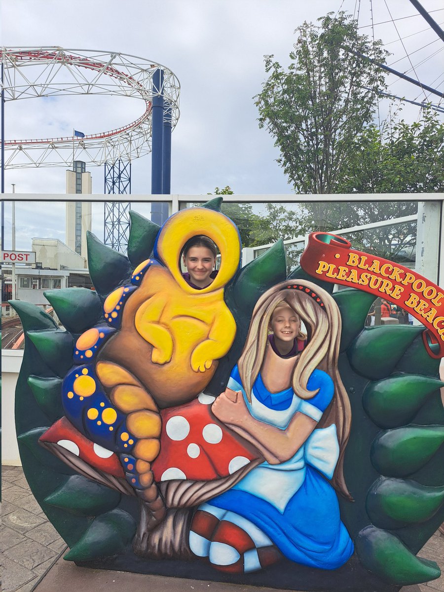 Miss Stevenson tweet media