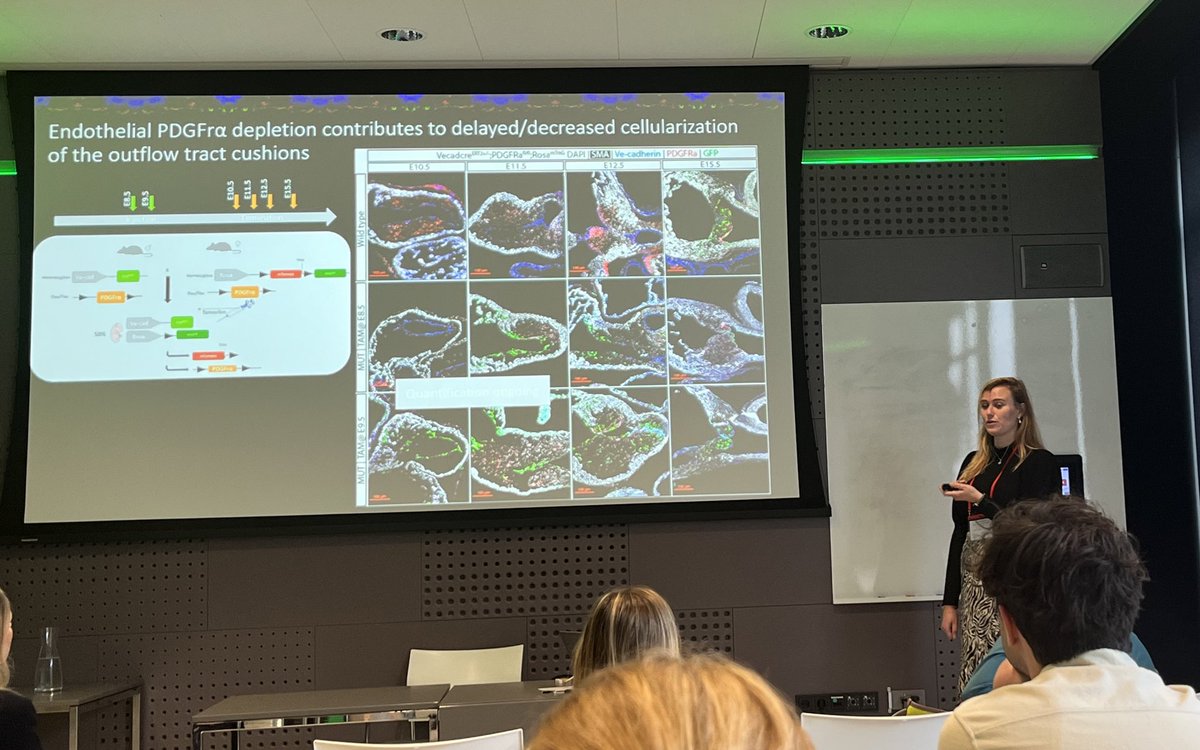 Marie-Jose Goumans (@mjgoumans) on Twitter photo Tamara Borsboom did a great job presented her thesis project showing the impact of endothelial deletion of PDGFra during embryonic development on the development of the great arteries. #TGA #congenitalheartdisease #EndMT <a href="/CVCBLeiden/">CVCB Leiden</a> <a href="/LUMC_Leiden/">LUMC Leiden</a> <a href="/Hartekind/">Stichting Hartekind</a> #outreachconsortium Tamara Borsboom did a great job presented her thesis project showing the impact of endothelial deletion of PDGFra during embryonic development on the development of the great arteries. #TGA #congenitalheartdisease #EndMT <a href="/CVCBLeiden/">CVCB Leiden</a> <a href="/LUMC_Leiden/">LUMC Leiden</a> <a href="/Hartekind/">Stichting Hartekind</a> #outreachconsortium
