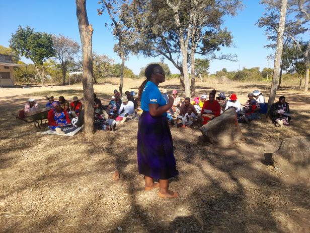 PigadZimbabwe's tweet photo. Empowering communities for growth! pigad's recently held business plan development training capacitated smallholder farmers in Murewa and Hwedza Districts to craft bankable business plans to achieve their entrepreneurial goals.@BMZ_Bund https://t.co/77fDjx69Rk