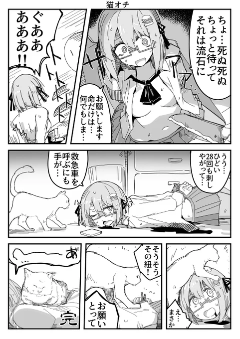 猫オチ🐈️️ 