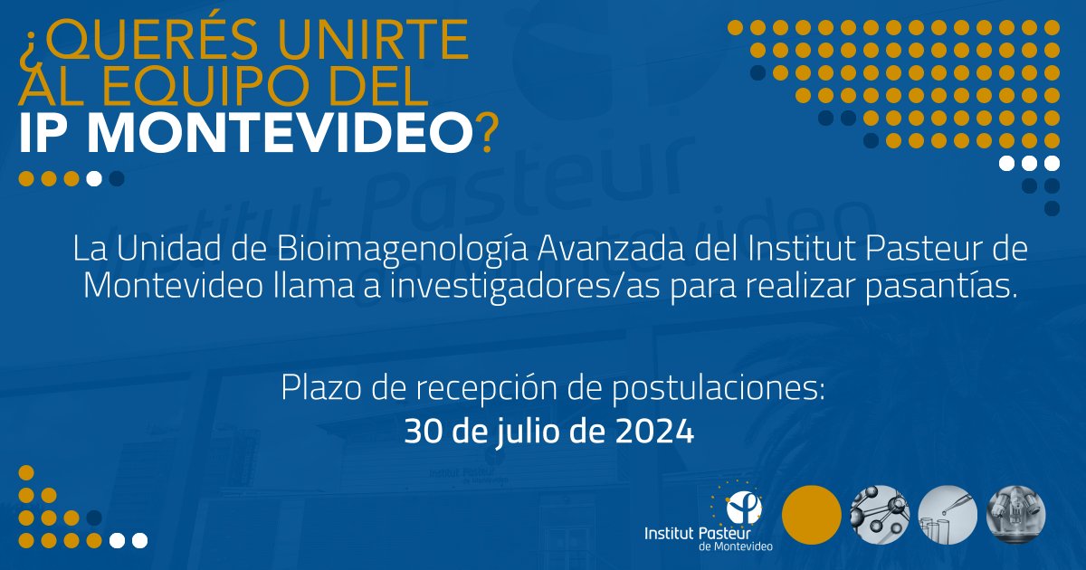 Institut Pasteur Montevideo (@ipmontevideo) on Twitter photo 📢 ¡Llamado abierto!
🔬La <a href="/advanced_unit/">Advanced Bioimaging Unit</a> del instituto busca incorporar investigadores/as de instituciones científicas de Latinoamérica para realizar pasantías.
🗓️Plazo para postular: 30 de julio de 2024
➡️Más info: bit.ly/3xwi6n5 📢 ¡Llamado abierto!
🔬La <a href="/advanced_unit/">Advanced Bioimaging Unit</a> del instituto busca incorporar investigadores/as de instituciones científicas de Latinoamérica para realizar pasantías.
🗓️Plazo para postular: 30 de julio de 2024
➡️Más info: bit.ly/3xwi6n5