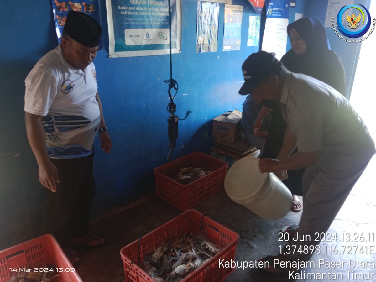 Luhkan_PPU's tweet photo. Kamis, 20/06, Suriyadi, Luhkan Penajam Paser Utara, di Bapak Jumadi, Tangkapan Rajungan, Jaring Rajungan, Sebanyak 12 Kg, Harga Rp. 25.000/Kg

#GiatLuhkanSatminkalTegal
#GiatLuhkanSatminkalBanyuwangi
#PenajamPaserUtara https://t.co/TDTkfHmFdc