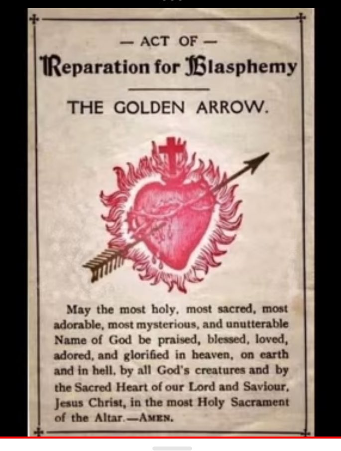 michael_szumega's tweet photo. @ProtecttheFaith @CarloMVigano Thank you for saying this.
Enough of the straining gnats.
Let your yes mean YES.
#PrayMuch
#Fatima https://t.co/aQZdZgTjKV