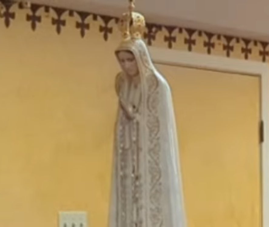 michael_szumega's tweet photo. @ProtecttheFaith @CarloMVigano Thank you for saying this.
Enough of the straining gnats.
Let your yes mean YES.
#PrayMuch
#Fatima https://t.co/aQZdZgTjKV