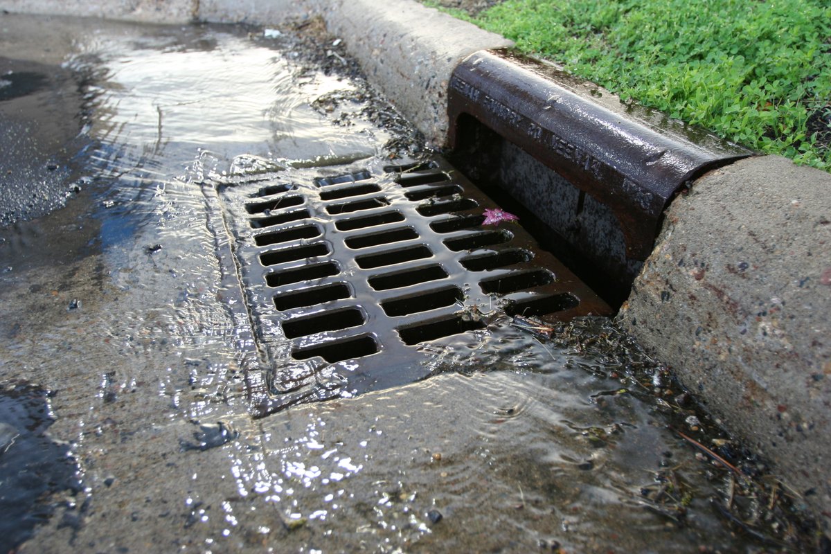 With all this recent rain, we have drain on the brain. 🧠 Remember, keeping your storm drain clean prevents contaminants and debris from getting into our lakes and streams. After all this summer rain, it might be time to check your drain!