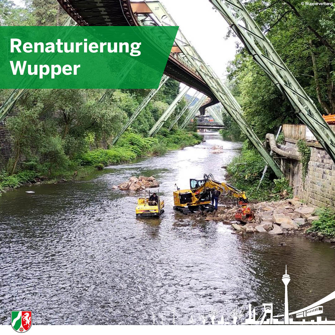 BezRegDdorf's tweet photo. Diese Woche trafen sich Expertinnen &amp; Experten zum 27. Wuppersymposium des @Wupperverband. Schwerpunkt waren die Renaturierungsmaßnahmen #Wupper und die Zukunft des Flusses🌊als Lebensraum für Tiere &amp; Pflanzen 🌱, sowie der Hochwasserschutz. #Renaturierung #Wupper #Gewässerschutz https://t.co/YRIv8HAoE0
