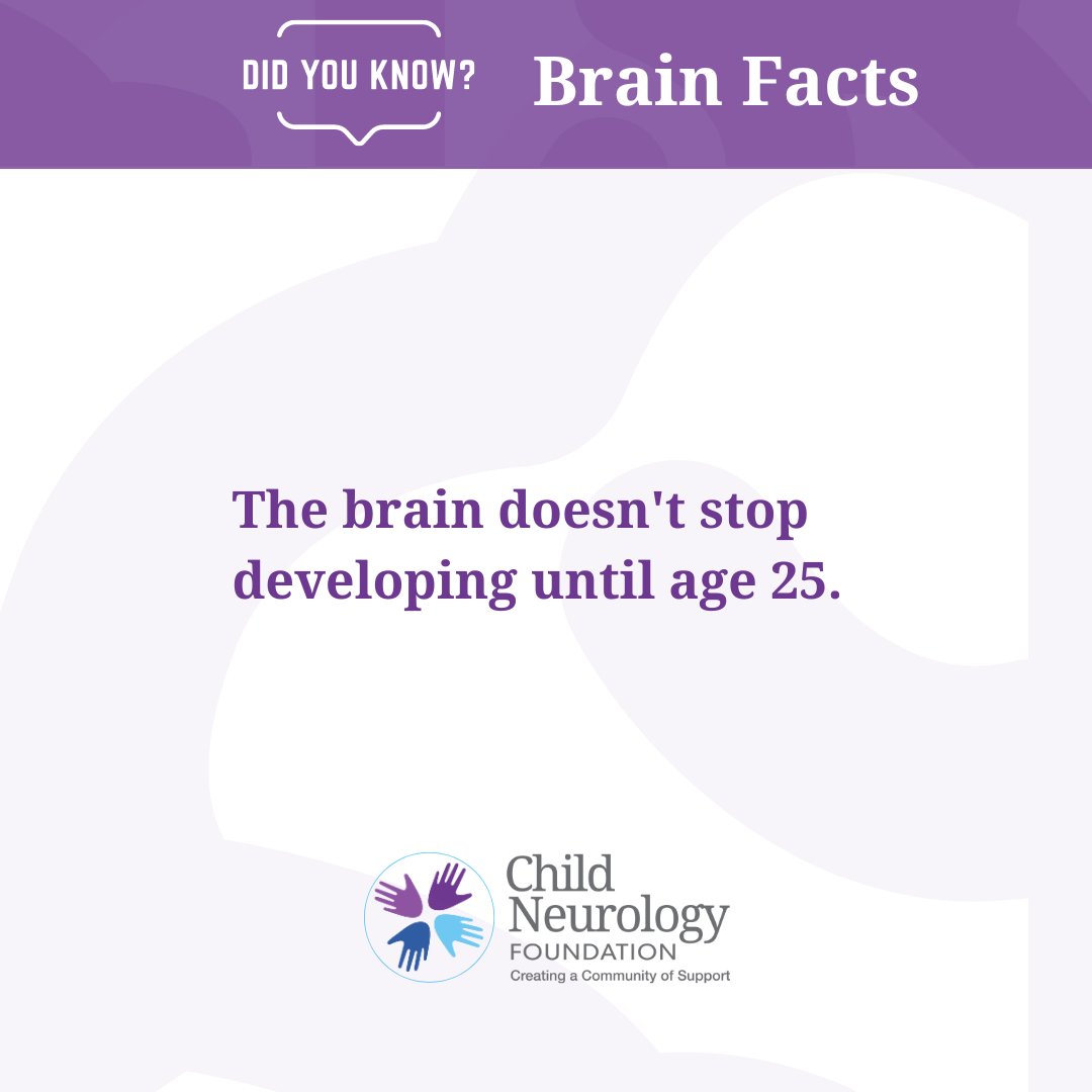 Child_Neurology's tweet image. Did You Know? The central nervous system includes the brain and spinal cord. The spinal cord stops growing at age four, while the brain isn&apos;t fully developed until the mid-to-late 20s. 

Source: Penn LPS

#NeurologyKnowledgeFridays #ChildNeurology