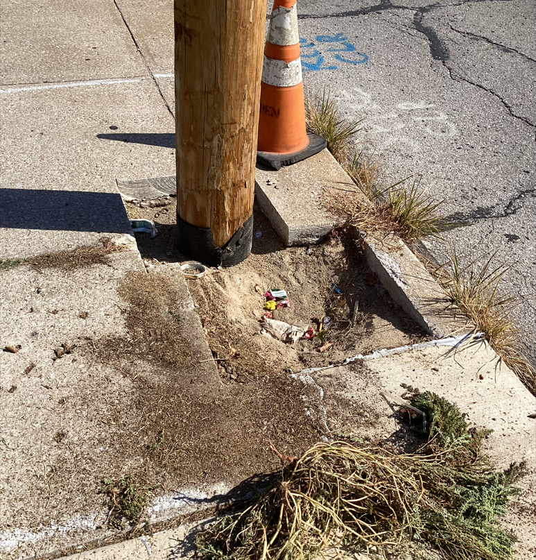 risingcsinc's tweet photo. 🚧 Another job done, another sidewalk fixed! Safety first, always. Need repairs? We've got you covered! #SidewalkRepair #Risingconst 🔨 https://t.co/Pb6wWvBqdW