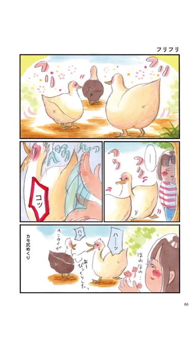カモのいる生活3 