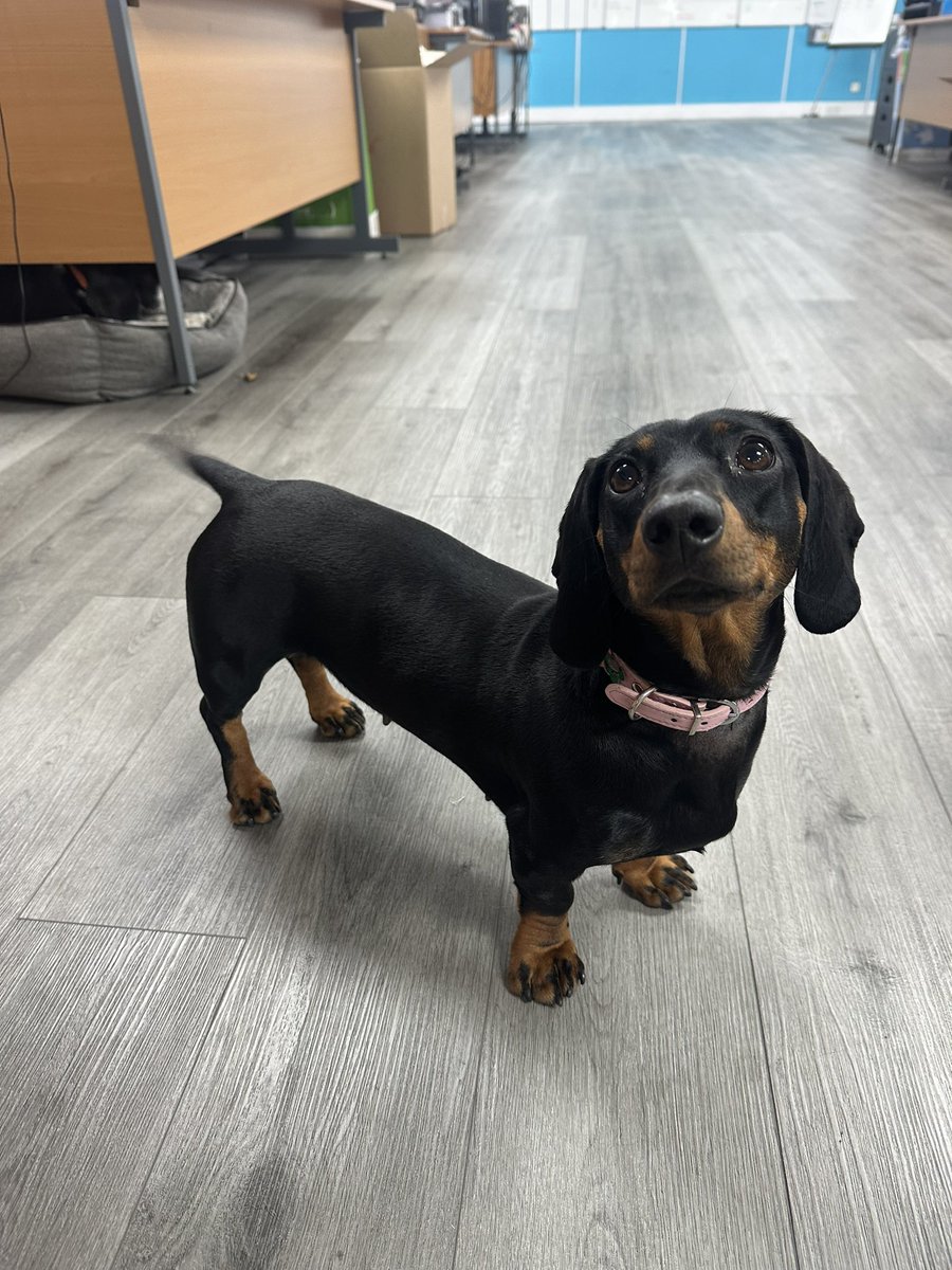 The UPAC Group tweet media