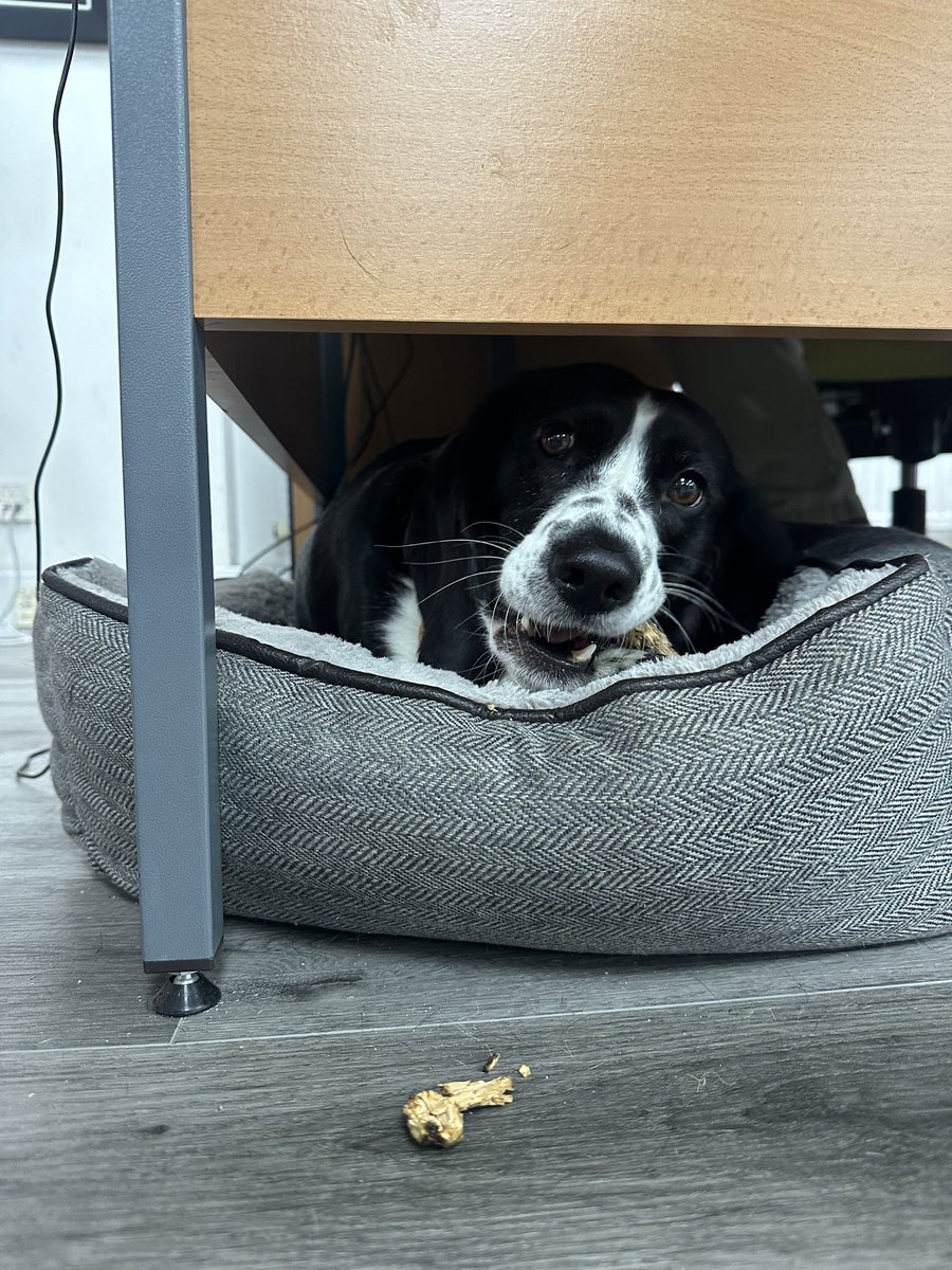 The UPAC Group tweet media