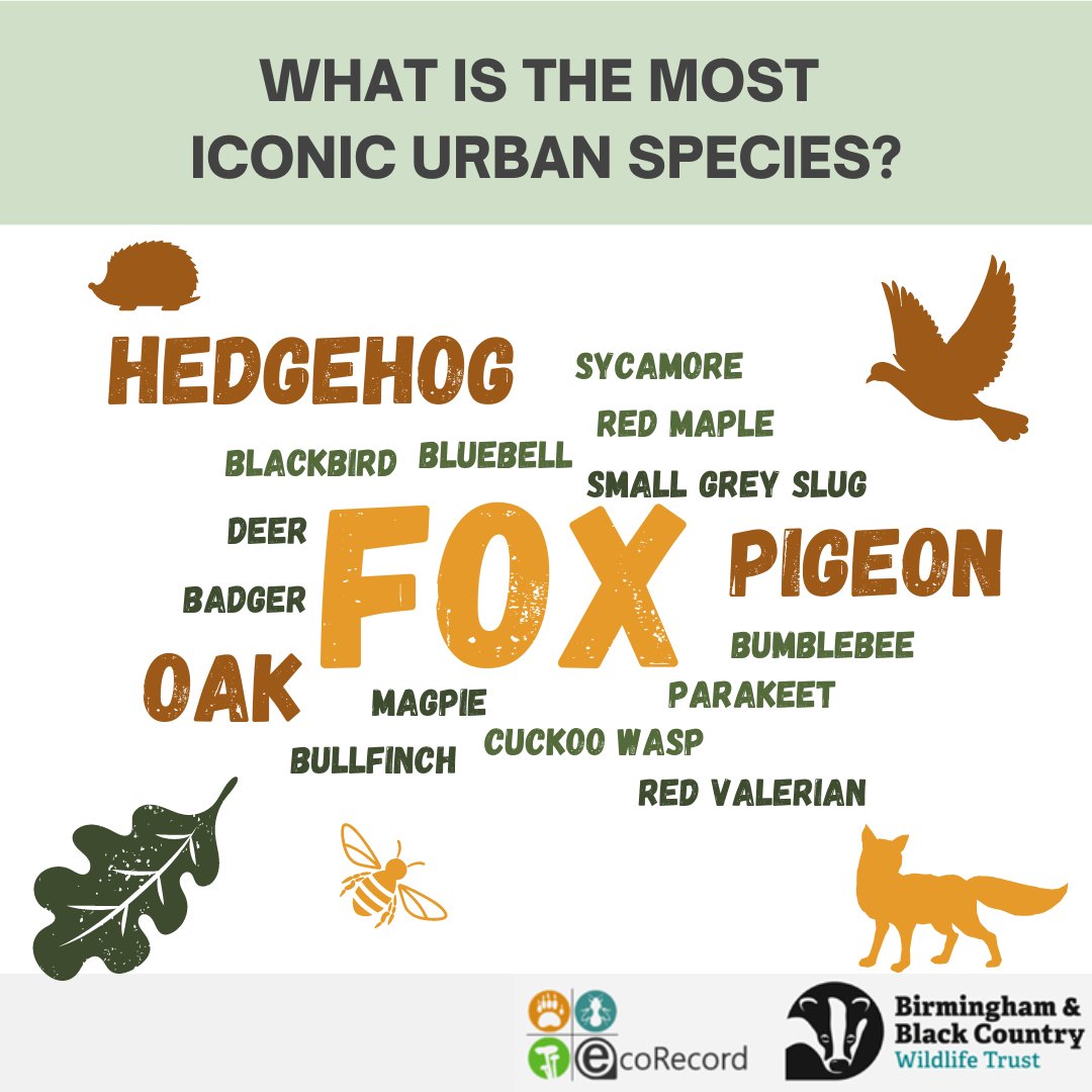 EcoRecording's tweet photo. Whilst attending the #BIFOR annual meeting yesterday at #Birminghamuni we asked people to write down what they think the most iconic urban species is, and here are the results! What species would you choose? #wildlife #nature #conservation https://t.co/N8gMTVBh0M