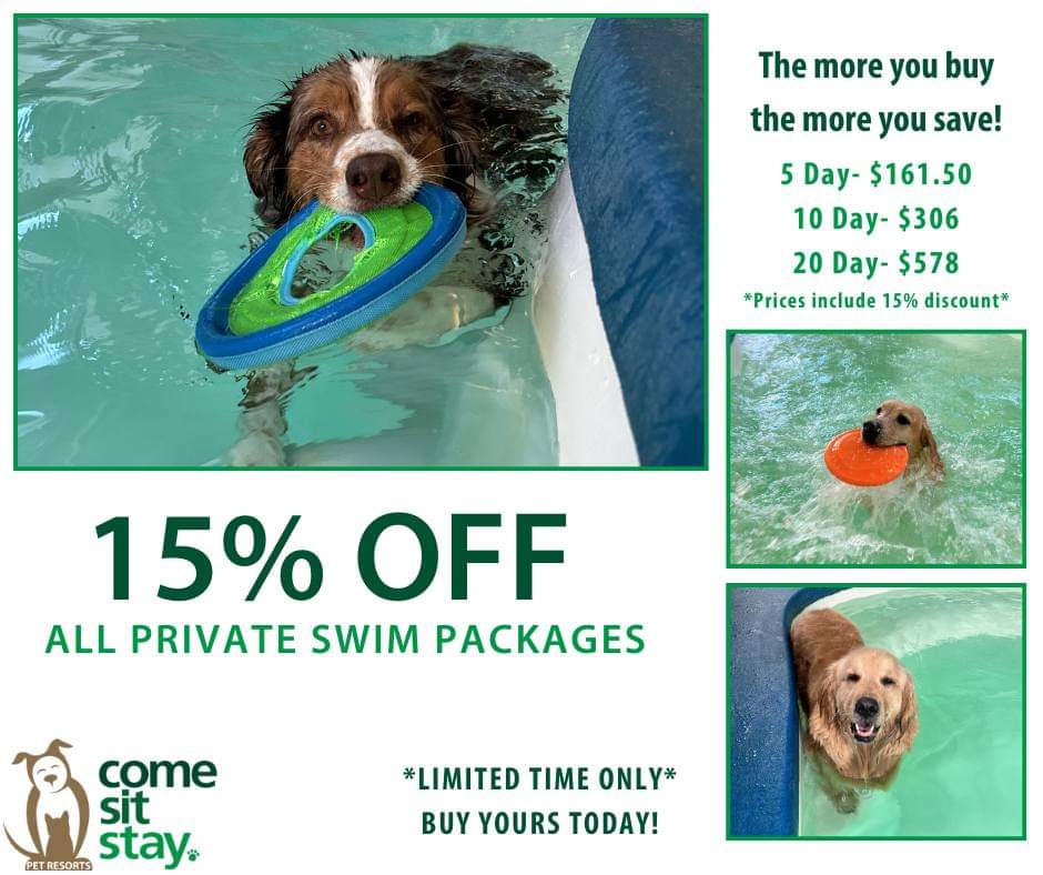 CELEBRATE THE START OF SUMMER! We now offer Private Swim Packages for our Guests who love to swim! Private Swims give your dog a half hour of one-on-one swim time. Call the Front Desk at 720-851-7829 to purchase your pup's private swim package! #dog #swimming #pool