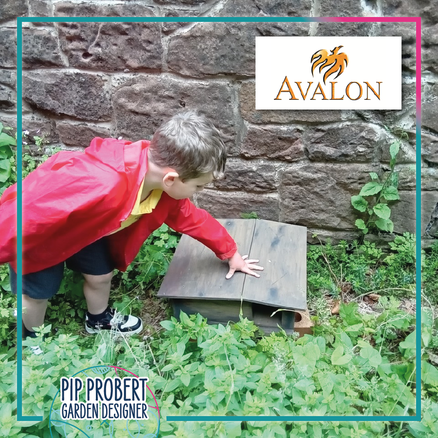 Pip Probert Garden Designer (@pipprobertgd) on Twitter photo Donating hedgehog houses and wildlife-friendly structures from <a href="/GWandShows/">BBC Gardeners World</a> to @avalonschwirral. Their excitement and curiosity
demonstrates the importance of environmental education and the connection we share with nature 🦔 #bbcgwlive #environmentaleducation #westkirby #nature Donating hedgehog houses and wildlife-friendly structures from <a href="/GWandShows/">BBC Gardeners World</a> to @avalonschwirral. Their excitement and curiosity
demonstrates the importance of environmental education and the connection we share with nature 🦔 #bbcgwlive #environmentaleducation #westkirby #nature