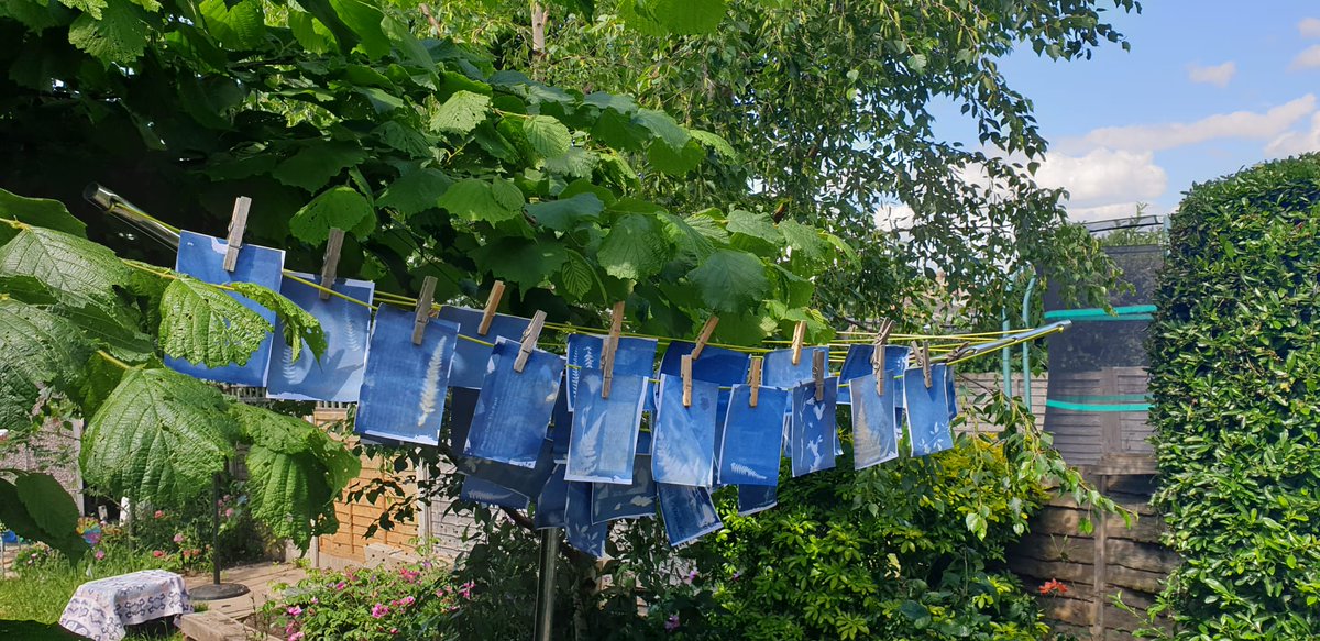 Rosie_Canning's tweet photo. Fantastic few days @ARCH_stirling got to meet #teamArch & many interesting people involved in improving childhood for those in care. Innovative #memorykeeping as opposed to #recordkeeping just brilliant. Thanks @ruth_emond for inviting me. The #cyanotype postcards were a success. https://t.co/TkEAi75EWd