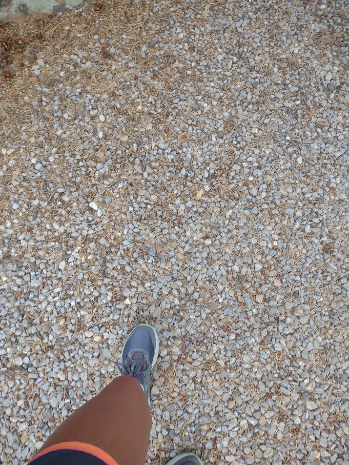 APSWellness's tweet photo. PM cycle & am run #findjoyintheprocess #APSmorningmotivation @Chris_APSMS @AHAHSprincipal @MustngPrincipal @CoachSDavy @LCHS_Keilbarth @LRESchool @swim100 @smsixteen @AlamosaPrinci https://t.co/Wh1GEuSYeW