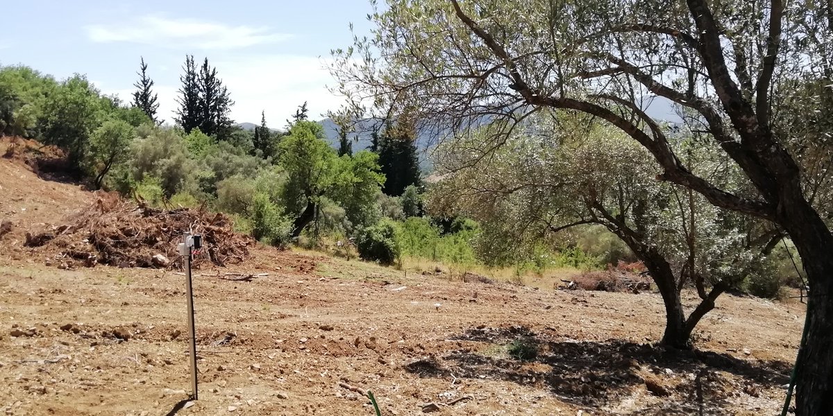 🌿Ο κ. Παναγόπουλος, ελαιοπαραγωγός της Πελοποννήσου, με την τοποθέτηση μετεωρολογικού σταθμού #Quhoma &amp; αισθητήρων εδάφους, αποκτά έναν ακόμη σύμμαχο με σκοπό την αύξηση της παραγωγικότητας του. 📈
Στέλιο ευχαριστούμε για την εμπιστοσύνη και ευχόμαστε καλές μετρήσεις. 📊👍