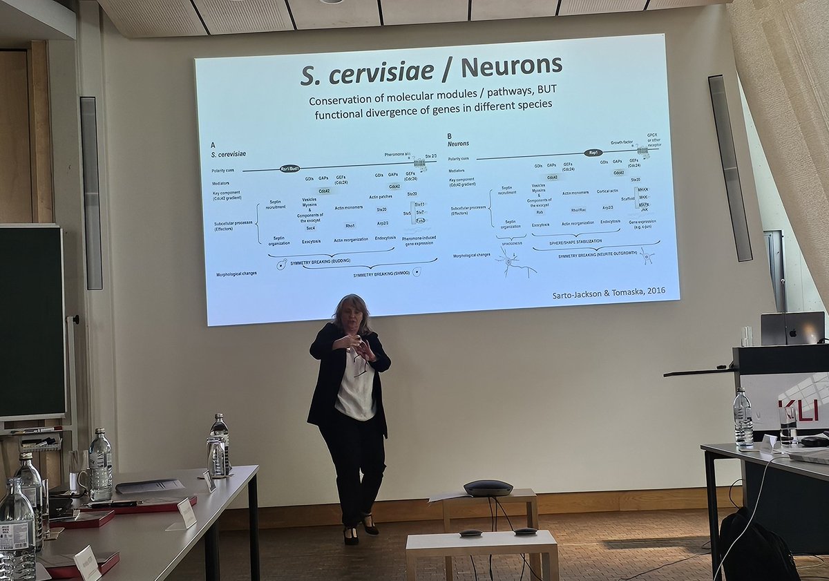 igor branchi, moving to @igorbranchi.bsky.social (@igorbranchi) on Twitter photo Fantastic 41st Altenberg Workshop on "Sociocultural EvoDevo & Cognition: The Role of Cultural Neurobiological Inheritance Systems"
organized by Isabella <a href="/JacksonSarto/">Isabella Sarto-Jackson</a> & Daniel Larson!
Isabella has been a catalytic driving force for such an interdisciplinary event! <a href="/KLIAustria/">KLI: A Home to Theory that Matters</a> Fantastic 41st Altenberg Workshop on "Sociocultural EvoDevo & Cognition: The Role of Cultural Neurobiological Inheritance Systems"
organized by Isabella <a href="/JacksonSarto/">Isabella Sarto-Jackson</a> & Daniel Larson!
Isabella has been a catalytic driving force for such an interdisciplinary event! <a href="/KLIAustria/">KLI: A Home to Theory that Matters</a>