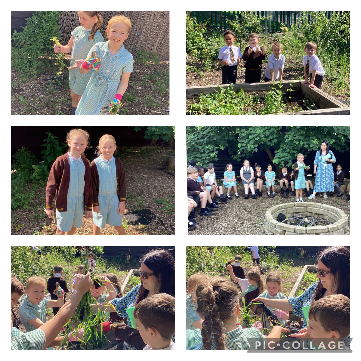 Today, we spent our RE lesson in the habitat hub. We read and discussed scripture, sang hymns and helped to tidy the area🌿❤️🌎 #stherbertsRE <a href="/5StHerberts/">Class5@StHerberts</a>