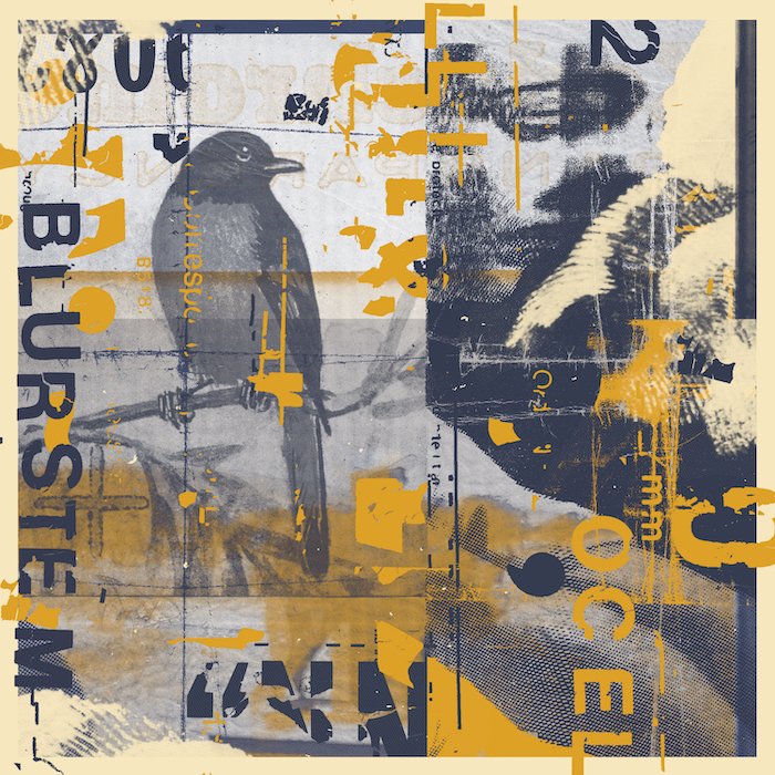 blurstem's tweet image. My 6th full-length @blurstem album, Ocelli, releases today. An album of climbs &amp;amp; falls, intimacy &amp;amp; grandeur; of deep contrast and vast dynamics. lnk.to/ocelli

label: @westernvinyl 
mastering: @taylordeupree 
album art: @lukedrozd 
strings on #6: Alex Berglund