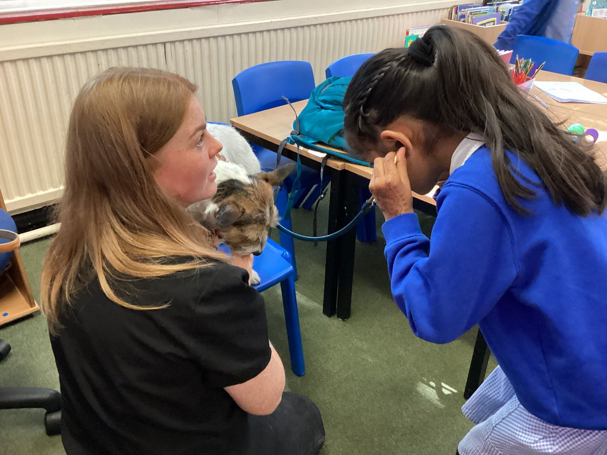 CJ_Year4's tweet photo. Careers day was very busy this year: children met a vet, a sauna manager, a policy advisor, an illustrator, a textile artist, curators, scientists, a speech and language therapist and advertising agents just to name a few! https://t.co/S47ZtHkpgj