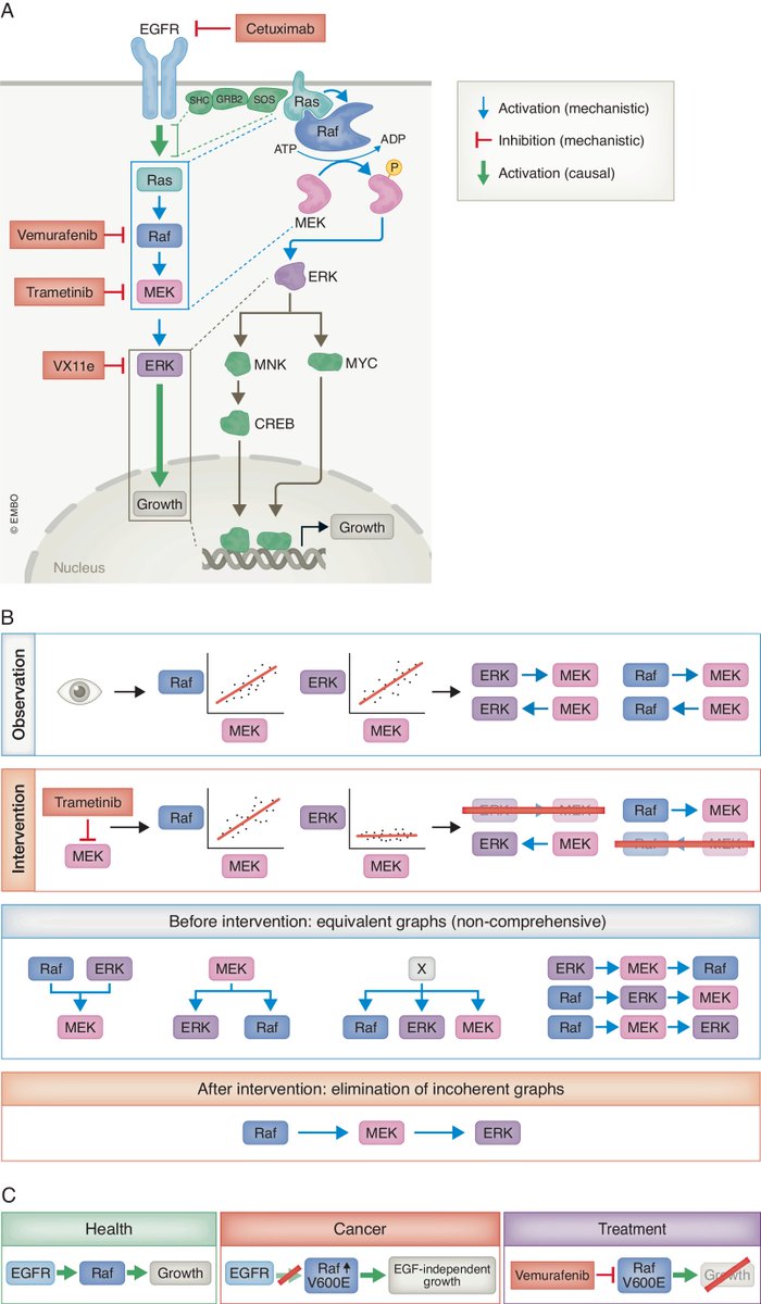 Correlation is not causation. In our new perspective, we connect systems biology, causal reasoning, and machine learning to inform future approaches in systems biology and molecular medicine in the wake of current deep learning advances: doi.org/10.1038/s44320… 🧵👇