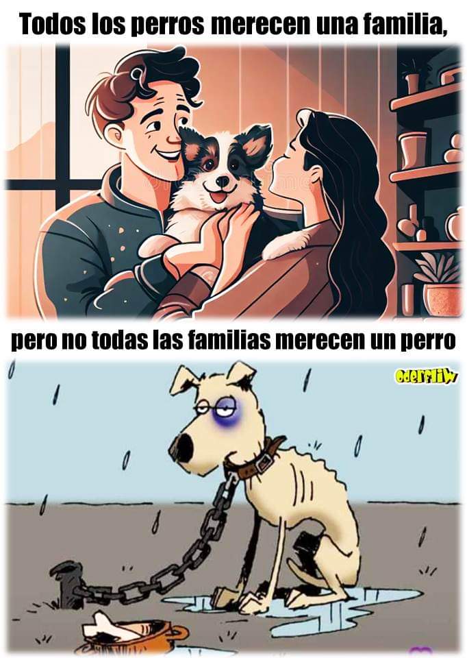 Guadalupe Ramirez (@gramirezf_d) on Twitter photo 