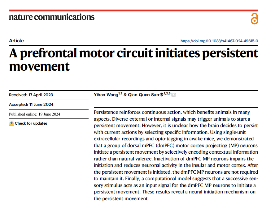 QianQuanSun1's tweet image. Breaking news from the neurosciencesunlab.org 
Check out this exciting work just published on @NatureComms  from  X-less, talented graduate student, Yihan Wang. This work is supported by grants from @NIMHgov @NIGMS 

Read the full paper from here 
rdcu.be/dLkuR