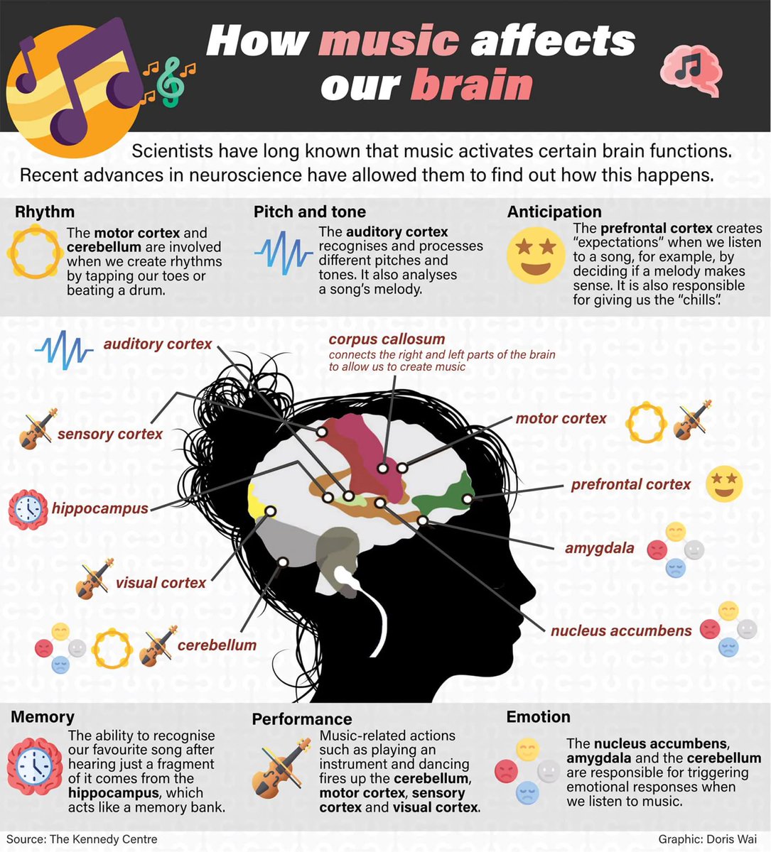 How music affects our brain: