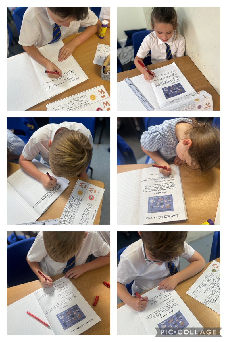 Shoreside Year 2 tweet media