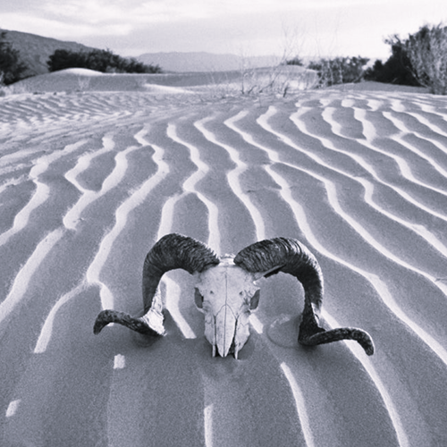 𝗔𝗦 𝗜’𝗠 𝗪𝗔𝗟𝗞𝗜𝗡𝗚 𝗜𝗡 𝗧𝗛𝗘 𝗦𝗛𝗔𝗗𝗢𝗪 𝗧𝗛𝗥𝗢𝗨𝗚𝗛 𝗧𝗛𝗘 (𝗜𝗢𝗧) 𝗩𝗔𝗟𝗟𝗘𝗬 𝗢𝗙 𝗗𝗘𝗔𝗧𝗛 – 𝟰 𝗧𝗔𝗞𝗘 𝗔𝗪𝗔𝗬𝗦 𝗩𝗢𝗢𝗥 𝗦𝗨𝗖𝗖𝗘𝗦𝗦

#digitaliseren #IndustrialNews

Lees meer via bit.ly/458VSnL