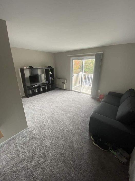 Prophetess Faith Mhembere tweet media