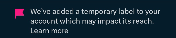 hii!! I might reduce my activity on twitter for the next few days, maybe i've been doing too much spam likes so my account got a warning like this t____t i'll come back after everything is settled !