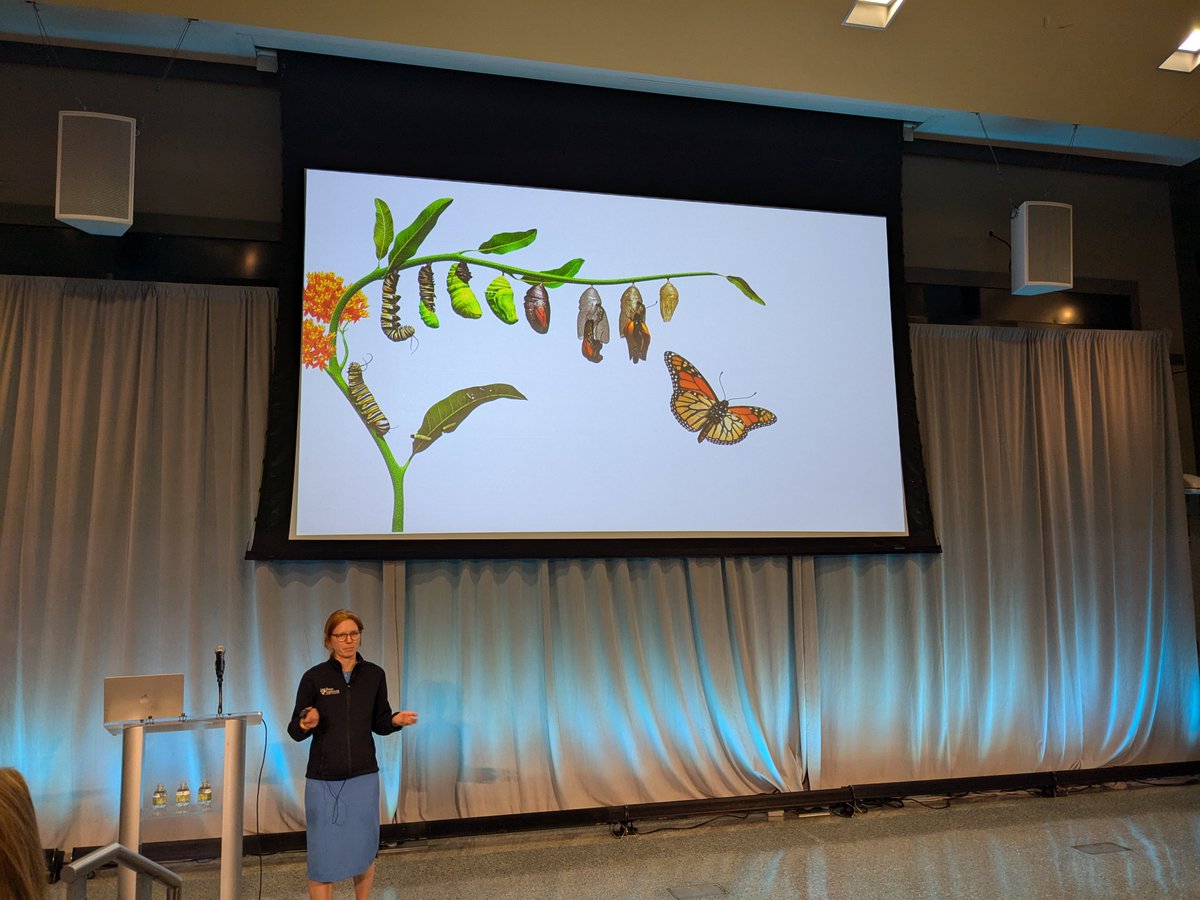 Koch Institute at MIT (@kochinstitute) on Twitter photo After a quick break, we’re back with Sydney Shaffer @sydshaffer <a href="/PennMedicine/">Penn Medicine</a> to talk about "Tracking cell state plasticity in injury and cancer.”
She opens with an activity she does with her child—tracking biological changes through time using butterflies. #KIsymposium After a quick break, we’re back with Sydney Shaffer @sydshaffer <a href="/PennMedicine/">Penn Medicine</a> to talk about "Tracking cell state plasticity in injury and cancer.”
She opens with an activity she does with her child—tracking biological changes through time using butterflies. #KIsymposium
