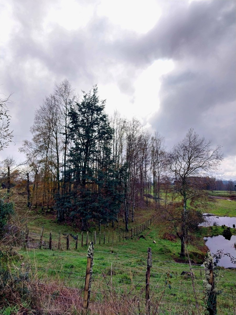 Hermosas postales deje el sur de Chile. 🌳❤️🌈🇨🇱