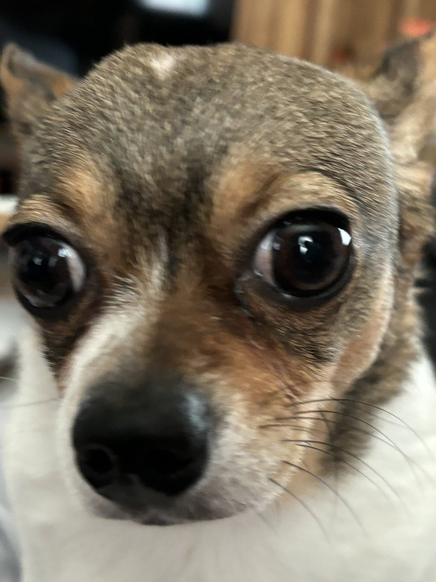 🎶 Look in my Eyes what do you see…the Cult Of Personality 🎶 

Griffey says he is the Best in the World not that guy from Chicago 
<a href="/WWE/">WWE</a> <a href="/CMPunk/">player/coach</a> <a href="/TheAJMendez/">AJ Mendez</a> <a href="/drewmcyntre/">drew McIntyre</a>