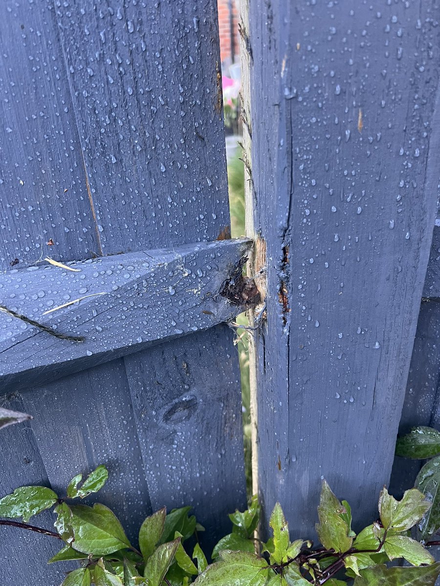 Hannah Jones tweet media