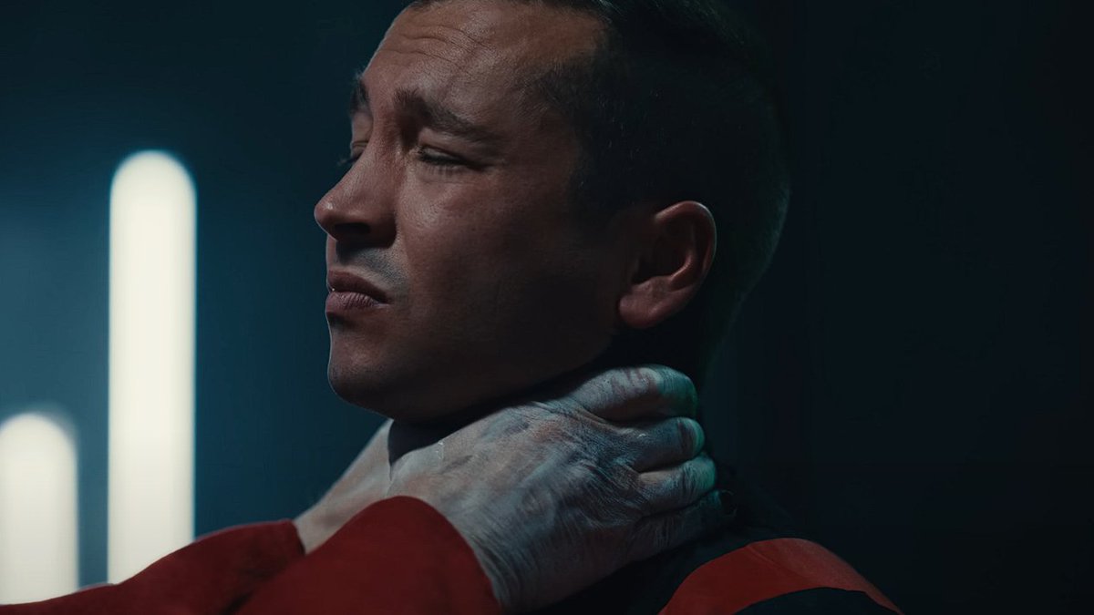 connie cotton(wood) ⊬ tweet media