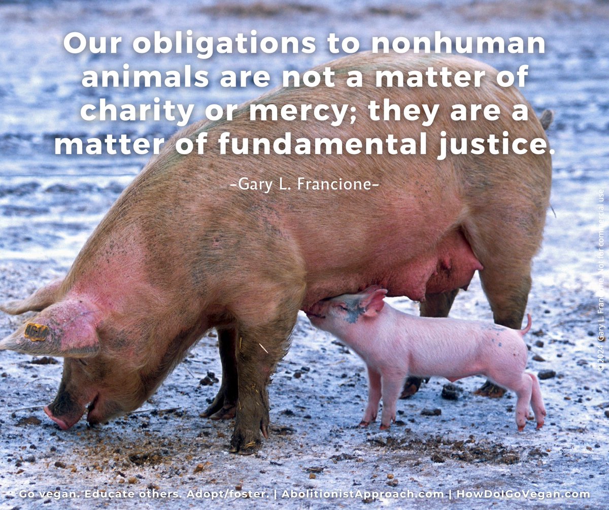 Always for Animal Rights (@alwaysforar) on Twitter photo 