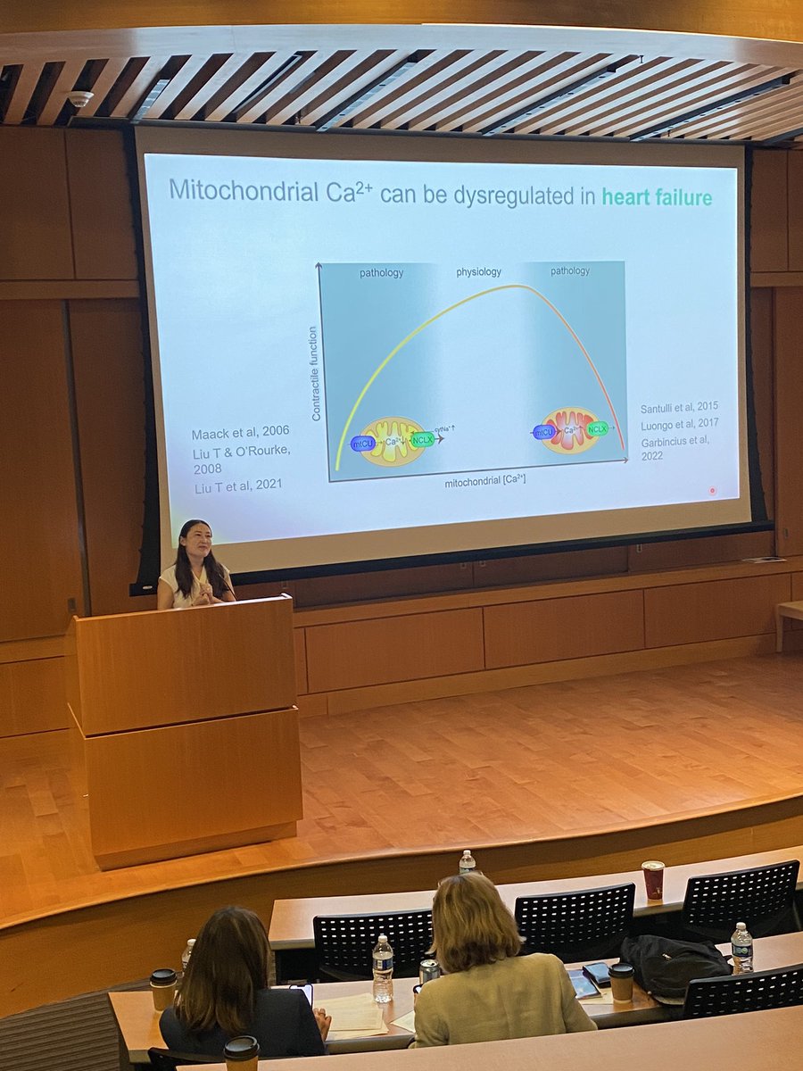 NYU CVRC (@nyulhcvrc) on Twitter photo Terrific talk on mitochondrial calcium regulation in the heart from our guest speaker Julia Liu @umnedschool <a href="/UMNNews/">UMNNews</a> @nyulhCVRC annual symposium directed by @kathrynMoorelab <a href="/nyugrossman/">NYU Grossman School of Medicine</a> <a href="/nyulangone/">NYU Langone Health</a> <a href="/NYULH_DeptofMed/">NYU Department of Medicine</a> Terrific talk on mitochondrial calcium regulation in the heart from our guest speaker Julia Liu @umnedschool <a href="/UMNNews/">UMNNews</a> @nyulhCVRC annual symposium directed by @kathrynMoorelab <a href="/nyugrossman/">NYU Grossman School of Medicine</a> <a href="/nyulangone/">NYU Langone Health</a> <a href="/NYULH_DeptofMed/">NYU Department of Medicine</a>