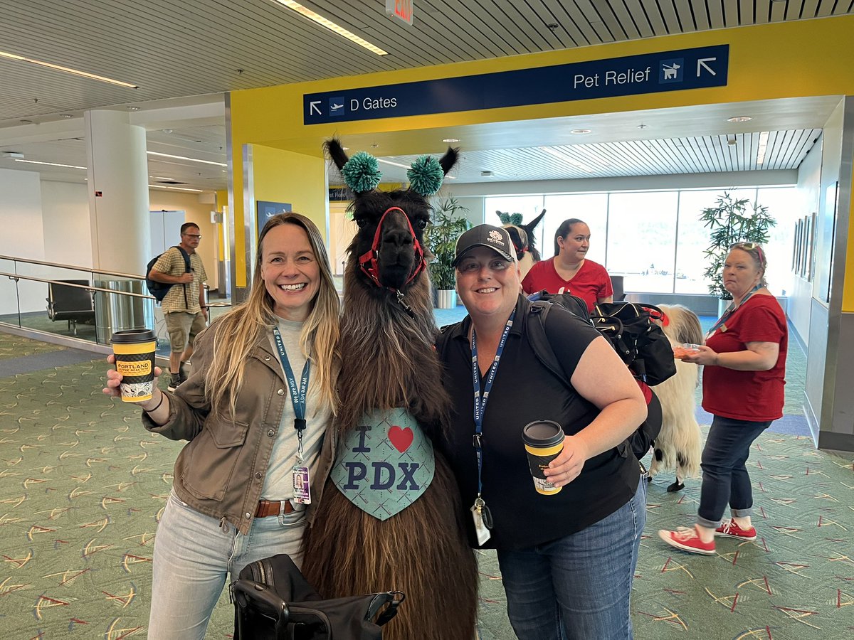 Brian Crooks (@brian_crooks_ua) on Twitter photo When other line station leaders come to <a href="/flypdx/">FlyPDX</a> to support your local <a href="/weareunited/">We Are United</a> community service event! But first some love from our emotional support PDX llamas. <a href="/spiper0617/">Sarah Piper</a> <a href="/GabrelcikLisa/">Lisa Gabrelcik</a> #PowerOfTheLines <a href="/GBieloszabski/">George Bieloszabski (He/Him)</a> <a href="/jacquikey/">Jacqui</a> <a href="/LouFarinaccio/">Lou Farinaccio</a> #PDXcellence When other line station leaders come to <a href="/flypdx/">FlyPDX</a> to support your local <a href="/weareunited/">We Are United</a> community service event! But first some love from our emotional support PDX llamas. <a href="/spiper0617/">Sarah Piper</a> <a href="/GabrelcikLisa/">Lisa Gabrelcik</a> #PowerOfTheLines <a href="/GBieloszabski/">George Bieloszabski (He/Him)</a> <a href="/jacquikey/">Jacqui</a> <a href="/LouFarinaccio/">Lou Farinaccio</a> #PDXcellence
