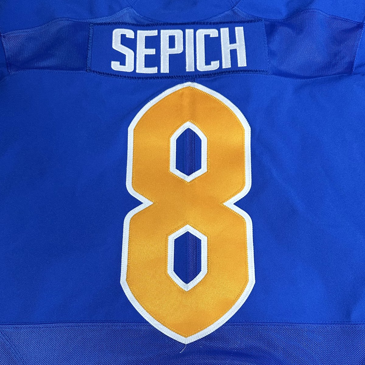 RJ Sepich tweet media