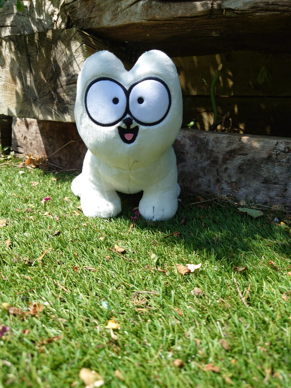 Simon s Cat on X Happy caturday from Badger Boo and Plushie 4 days left to pre order the plushie https t IKKYrWCaUl https t PYuTPETKDS X