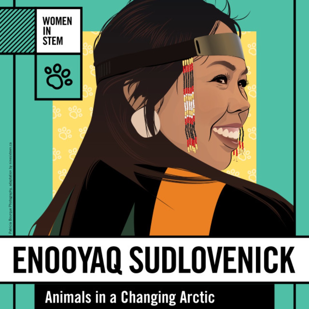 IngeniumCa's tweet photo. For National Indigenous Peoples Day, we're highlighting Arctic researcher, Enooyaq Sudlovenick, who combines Western research methods with Inuvialuit knowledge to track animal health and environmental observations. https://t.co/928JifskEi
#FemInSTEM #NIHM2024 #NIPD2024 https://t.co/Cyle6TErxa