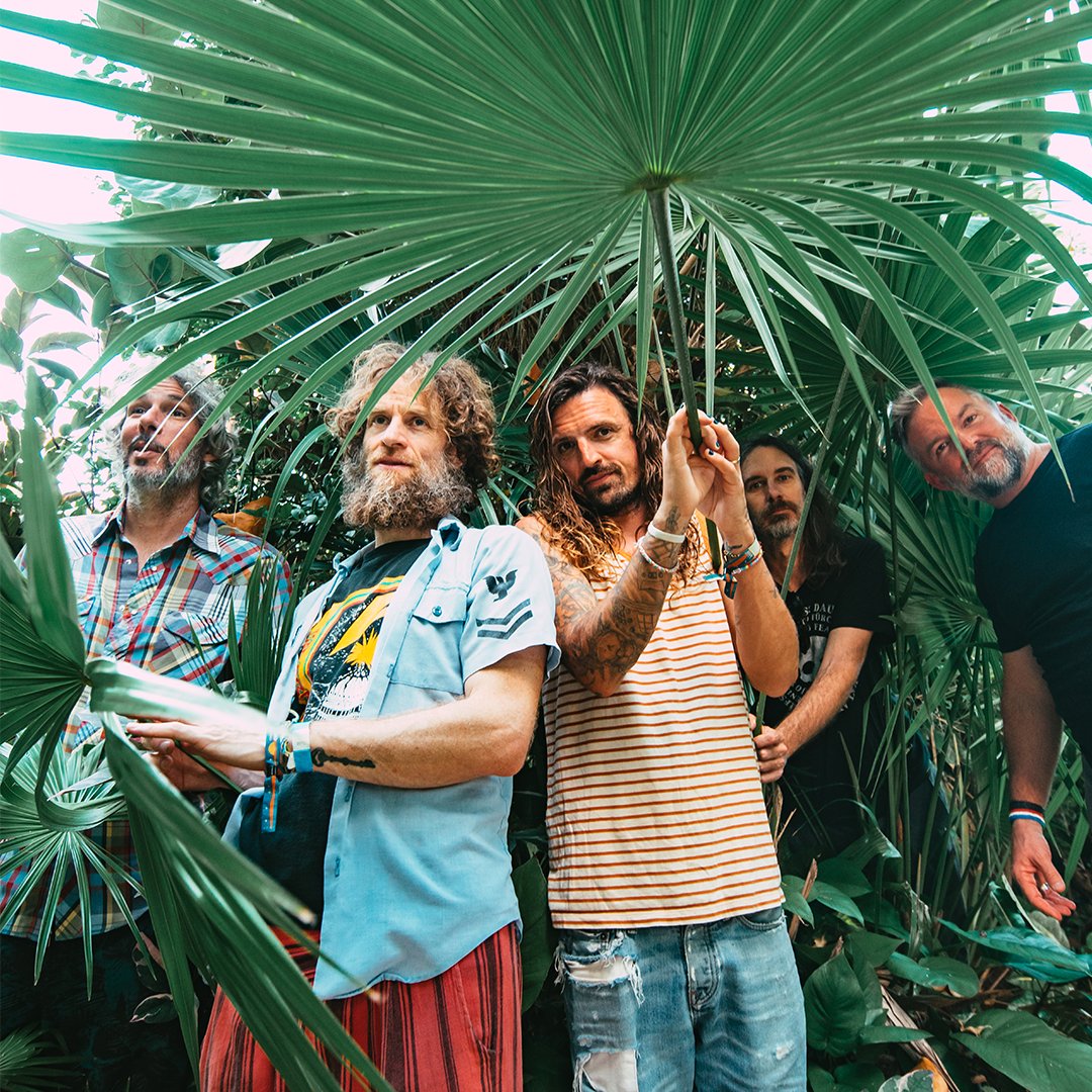 Highmark Mann tweet media